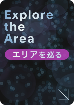 エリアを巡る